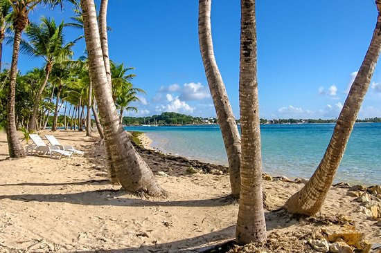 La plage de Bois-Jolan à Sainte-Anne