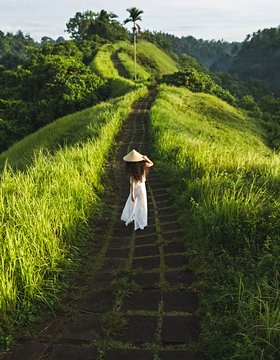 Les plus beaux lieux de Ubud