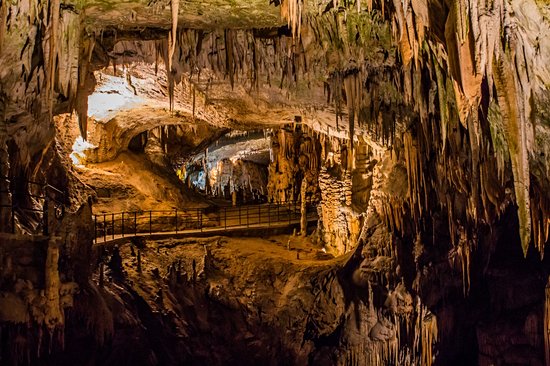 Grottes de Postojna
