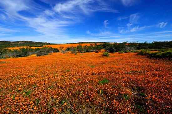 Parc national Namaqua