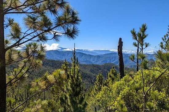 Parc national José Armando Bermúdez