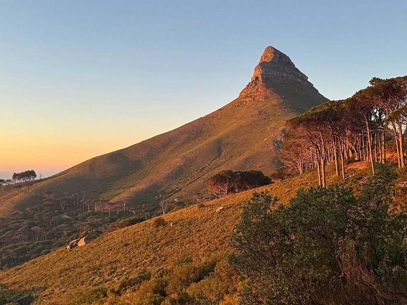 Lion’s Head