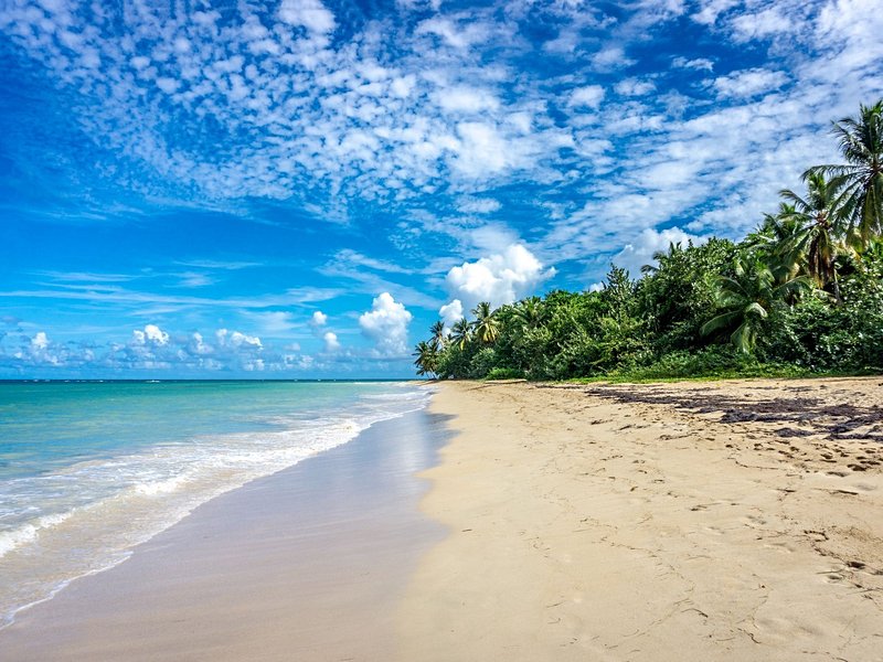 Las Terrenas