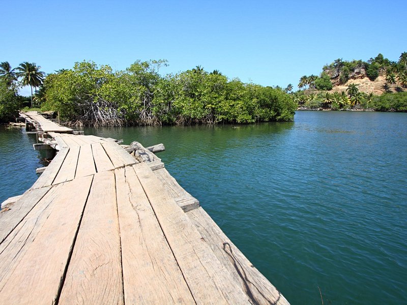 Parc national Alejandro de Humboldt