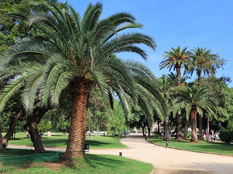 Parc de la Ciutadella
