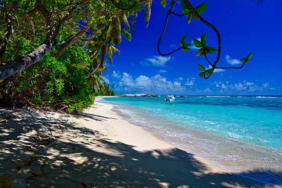 Anse Forbans
