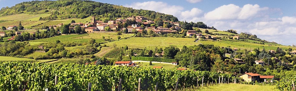Le Beaujolais