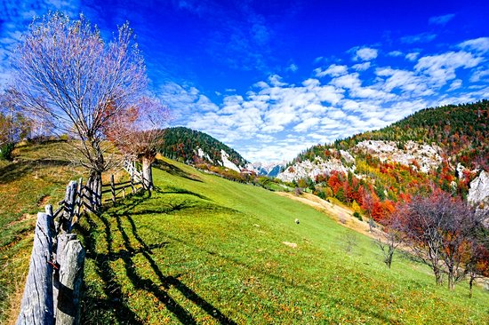 Parc national Piatra Craiului