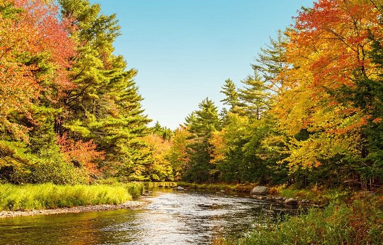 Le parc national de Kejimkujik