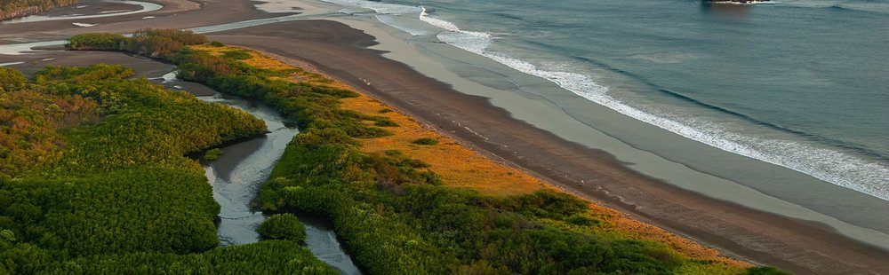 Sauvage et repliée : Playa Naranjo
