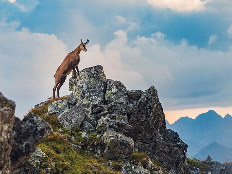 Hautes Tatras