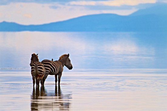 Lac Manyara