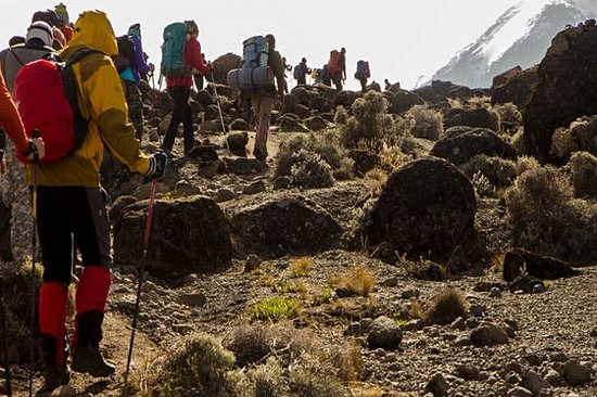Faire l’ascension du mont Kilimandjaro 