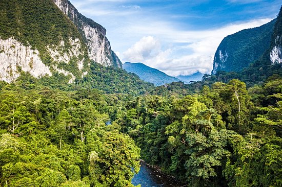 Parc national du Gunung Mulu