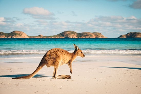 Lucky Bay (Esperance)
