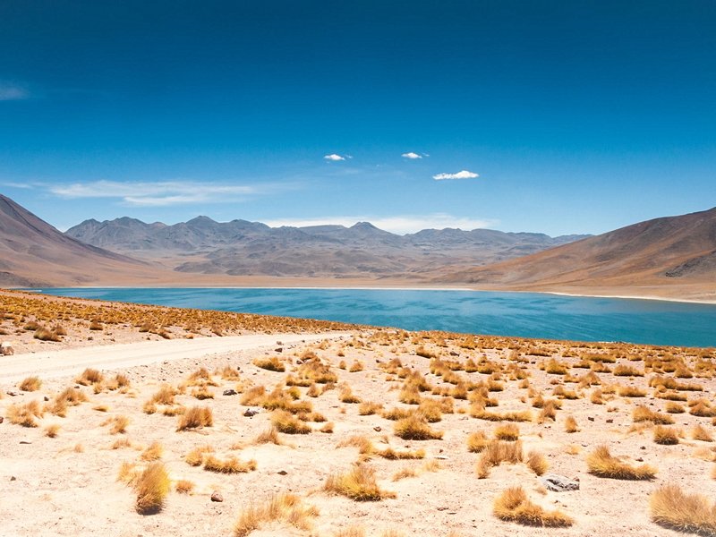 L’Altiplano chilien