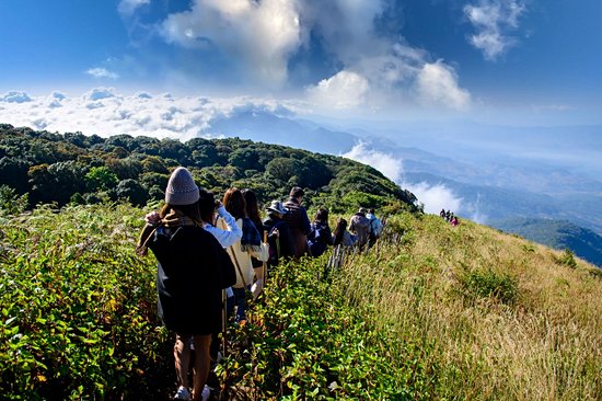 Parc Doi Inthanon