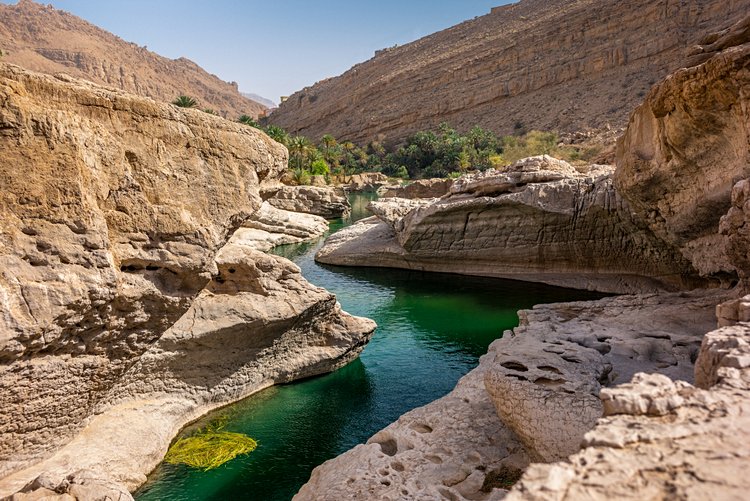 Le Wadi Shab et les autres wadis omanais 3