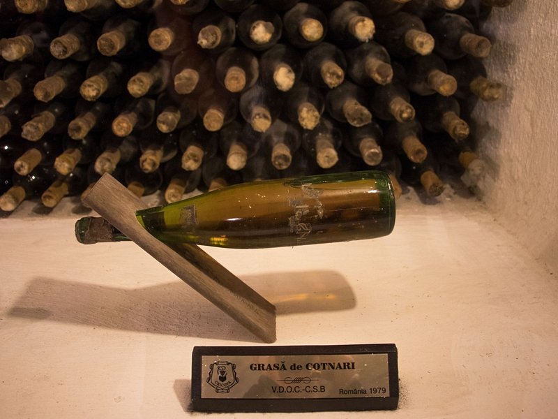 Route des vins autour de Cotnari