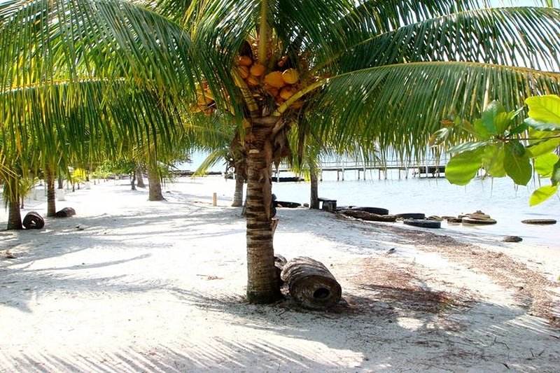 plage Les plages de Puerto Barrios