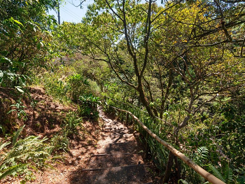 Parc National El Boquerón