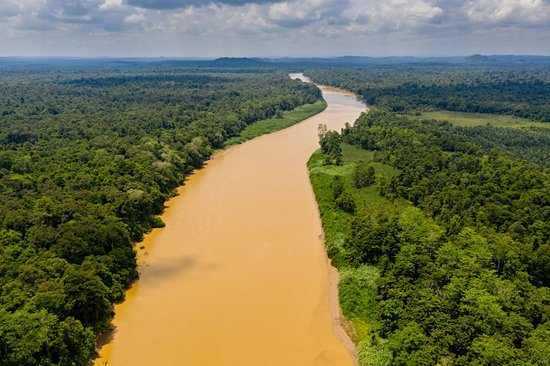 Rivière Kinabatangan