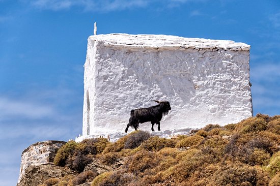 Le village de Molos et le cap Pouria