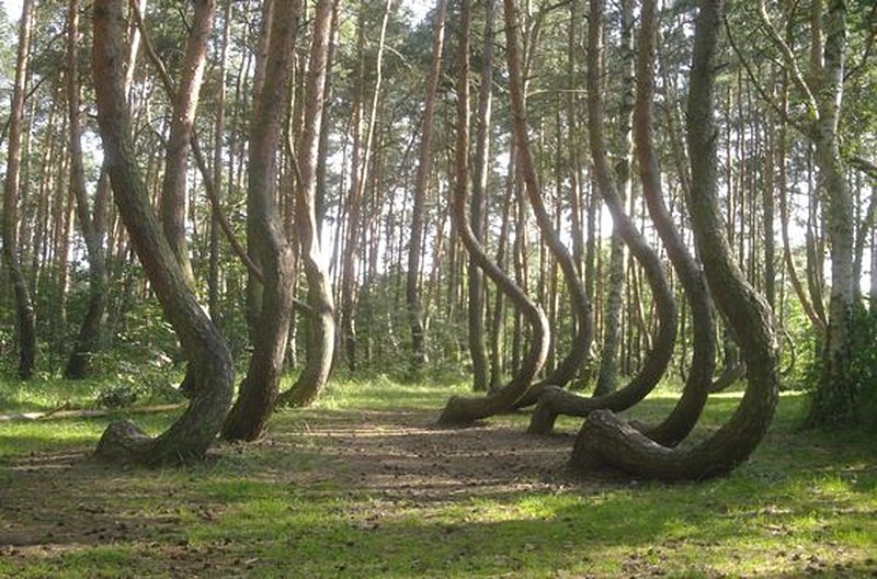 Se faire des frayeurs dans la forêt de Hoia