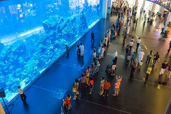 L'Aquarium et l'Underwater Zoo