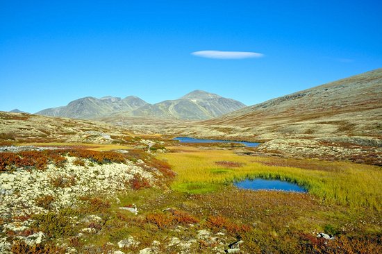 Parc national de Rondane
