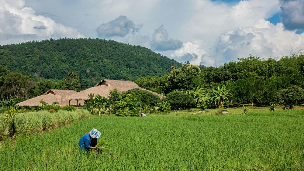 Thaïlande au mois de  octobre