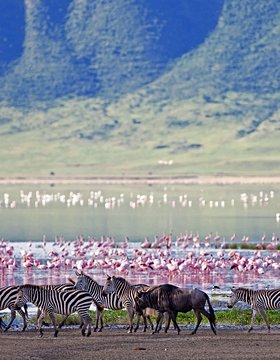 Les plus beaux lieux de Cratère du Ngorongoro