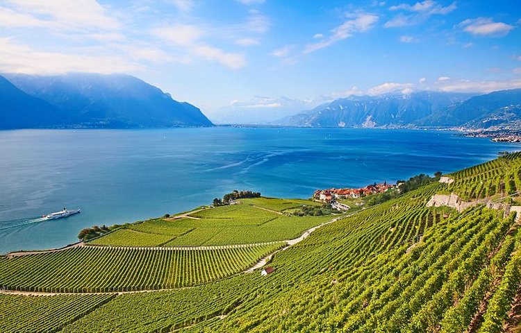 Les vignobles en terrasse de Lavaux plongeant dans les eaux du lac Léman, pour de belles balades et dégustation à la clé.