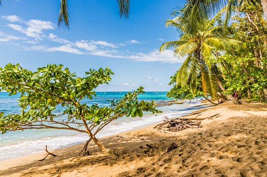 Les plages de Punta Uva