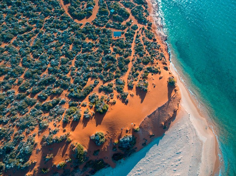 Shark Bay 2