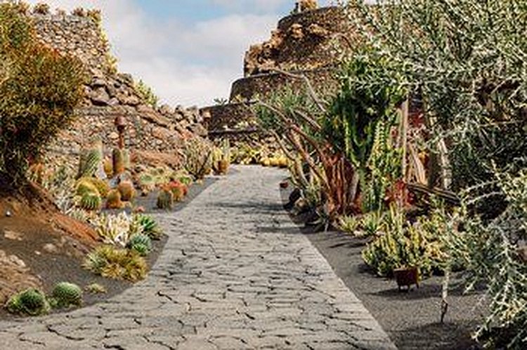 Le jardin des cactus 4