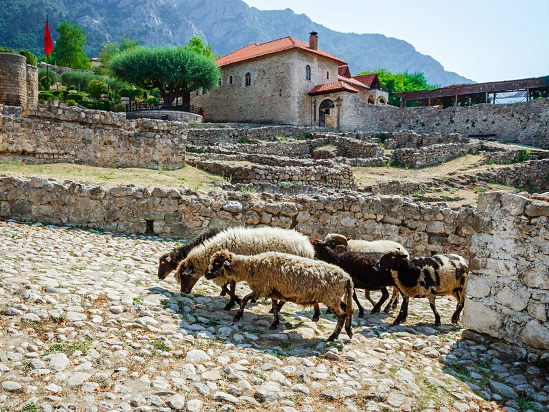 Krujë
