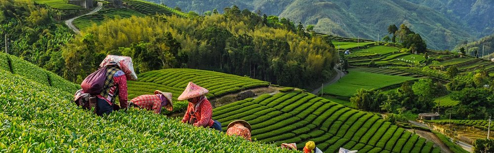 Alishan