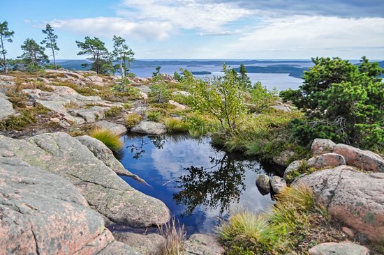Parc national du Skuleskogen