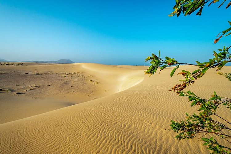 Le parc des dunes de Corralejo