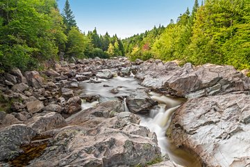 Parc national Fundy
