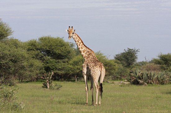 Parc national de Mudumu