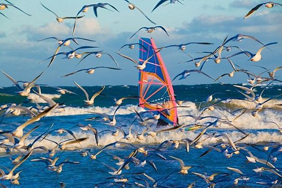 Découvrir la Bretagne sur l’eau