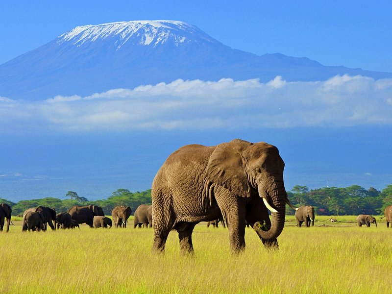 Amboseli
