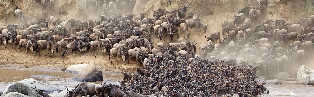 La Grande Migration