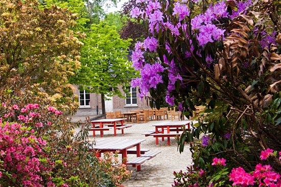 Jardin botanique de Meise