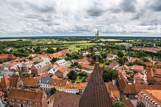 Ribe