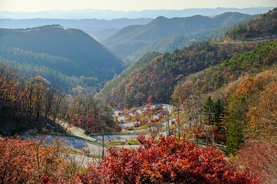Parc national de Songnisan