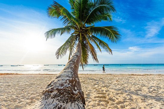 Playa Paraiso