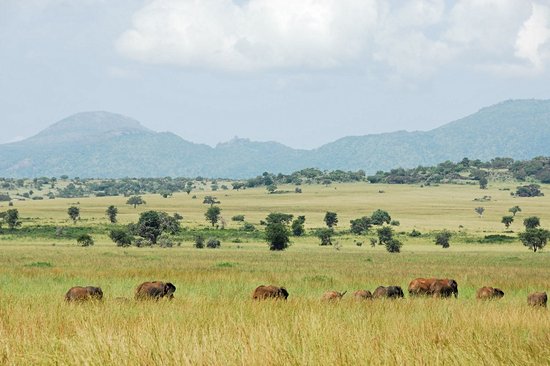 Parc national Kidepo Valley